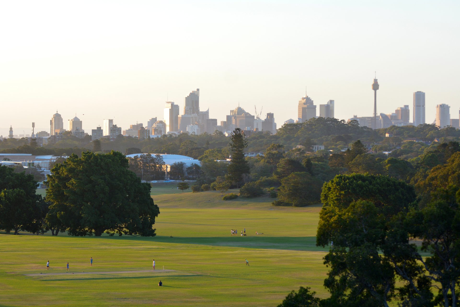 Sydney city skyline at sunset seen across the parklands and playing fields of Centennial Park